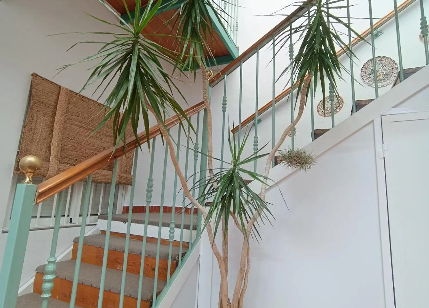 Guest house Hostal Cristina Chipiona